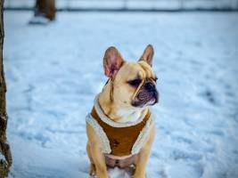 Ahmadou NJOYA - Doumah